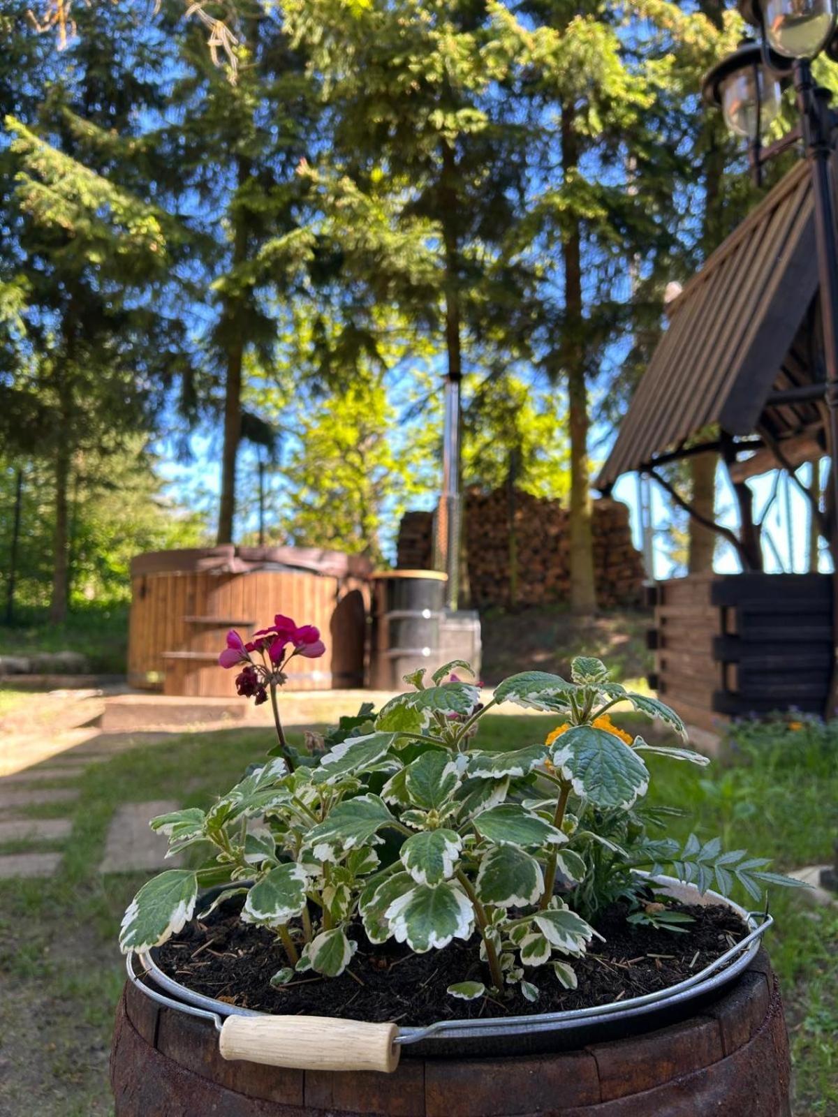 Ferienwohnung Dobrze Mi Tu-Kikity Exterior foto